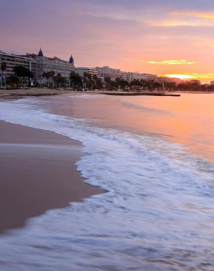 Superbe Studio Proche Palais Et Plages A Pieds Cannes Extérieur photo