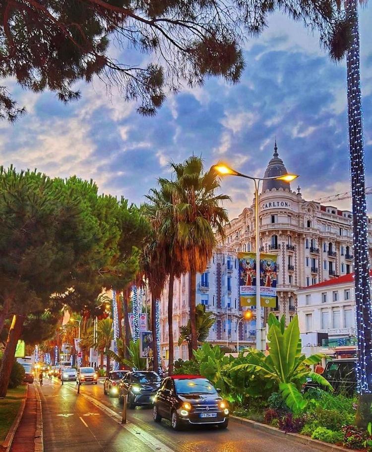 Superbe Studio Proche Palais Et Plages A Pieds Cannes Extérieur photo